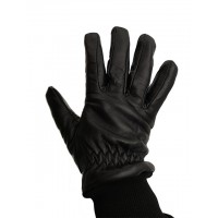 Aircrew Winter Gloves